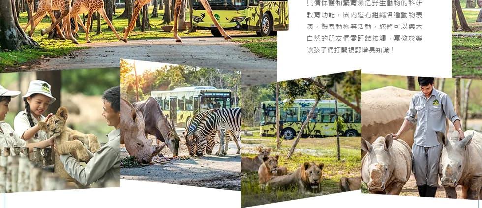 愛越富國｜翡翠灣飯店自由配・跨海纜車・地中海小鎮 5 日 照片 5