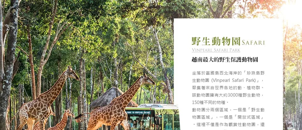 愛越富國｜翡翠灣飯店自由配・跨海纜車・地中海小鎮 5 日 照片 6